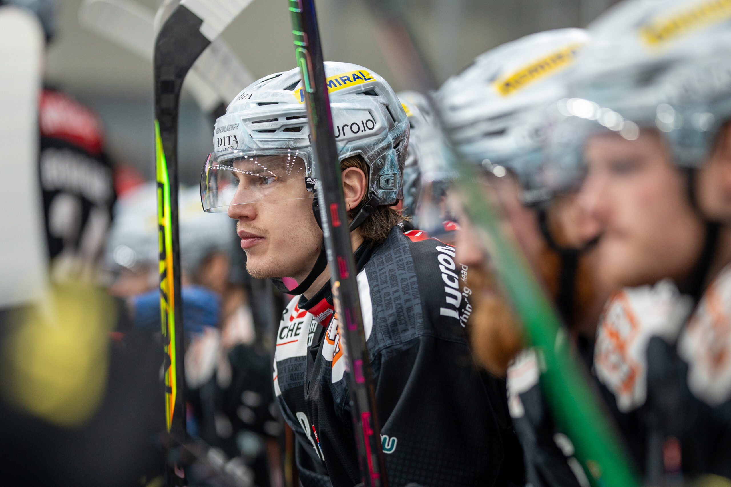 Vienna Capitals vs. HCB Südtirol Alperia
